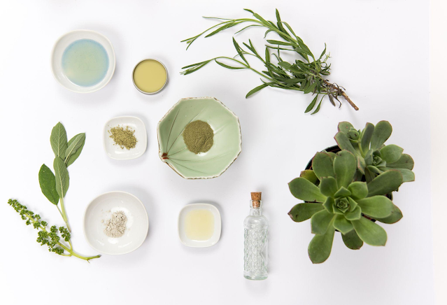 A collection of natural cosmetic products and plant ingredients showing eco-friendly skincare formulation chemistry