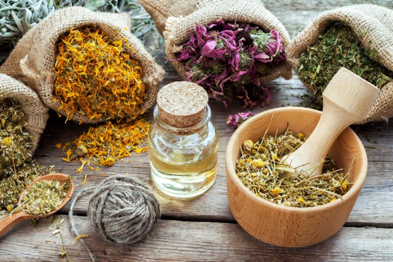 The HomeGrown Herbalist School of Botanical Medicine: A Science-Based Approach to Herbal Learning.