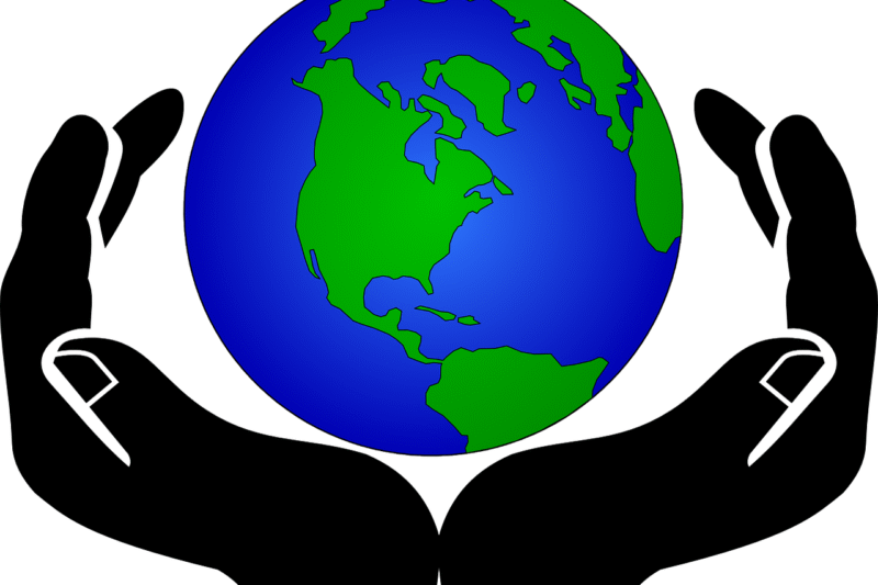 Sustainability Made Simple: Systems, Standards, and Everyday Action.