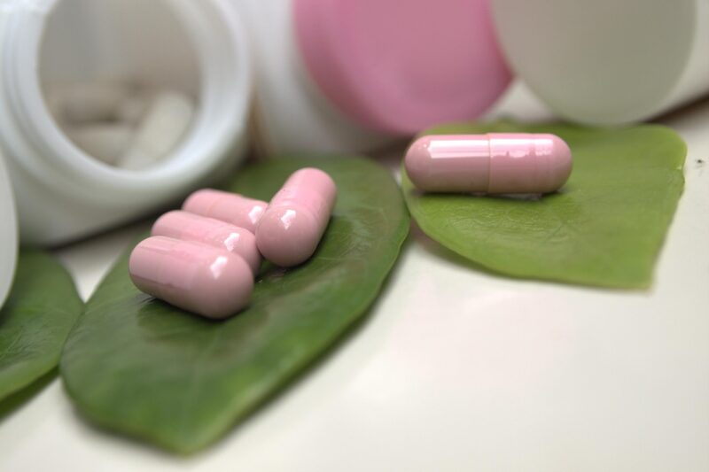 Plant-Based Supplements for Everyday Wellness: A Science-Informed Look.