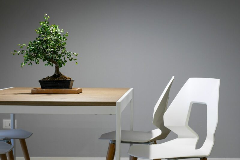 Where to Buy Eco Products: Online and Local Options.