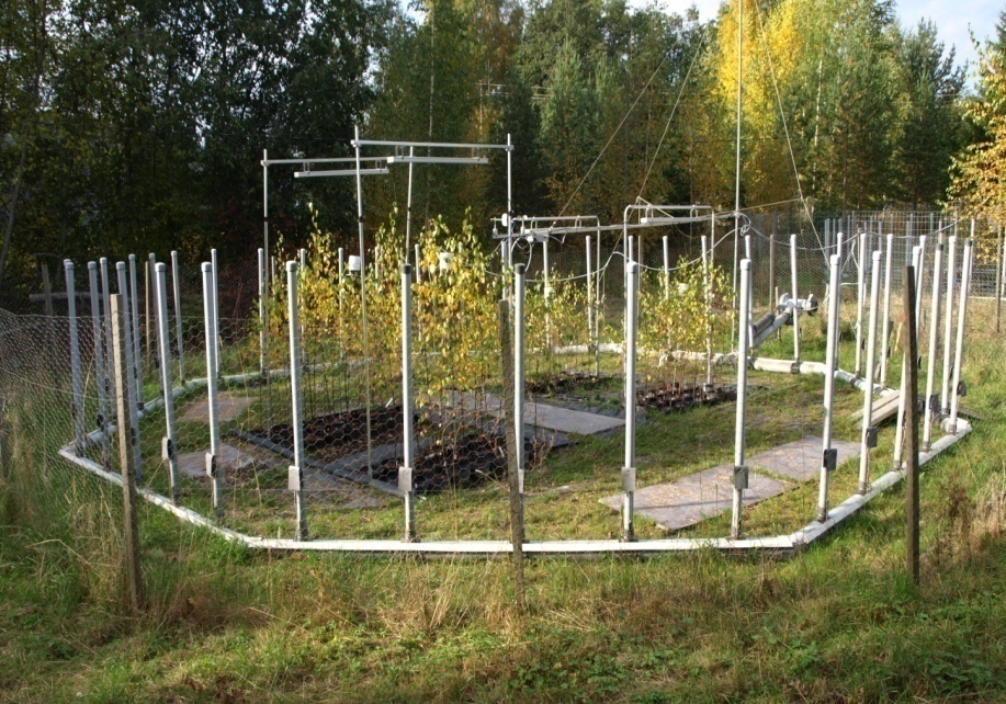 Serge, an environmental scientist, setting up equipment at an open-air research site in Ruohoniemi to study plant responses to ozone exposure.