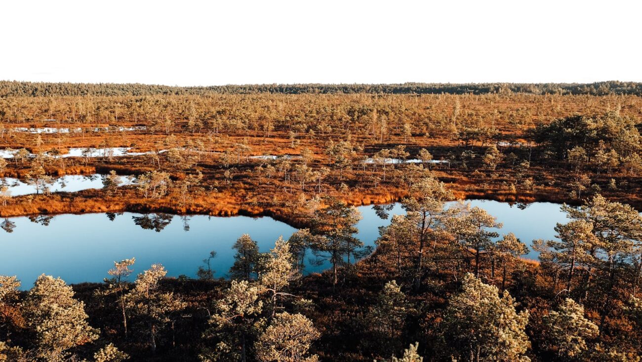 Boreal peatland landscape with open water pools and bog vegetation showing waterlogged anaerobic soil conditions that store carbon through slowed decomposition over thousands of years
