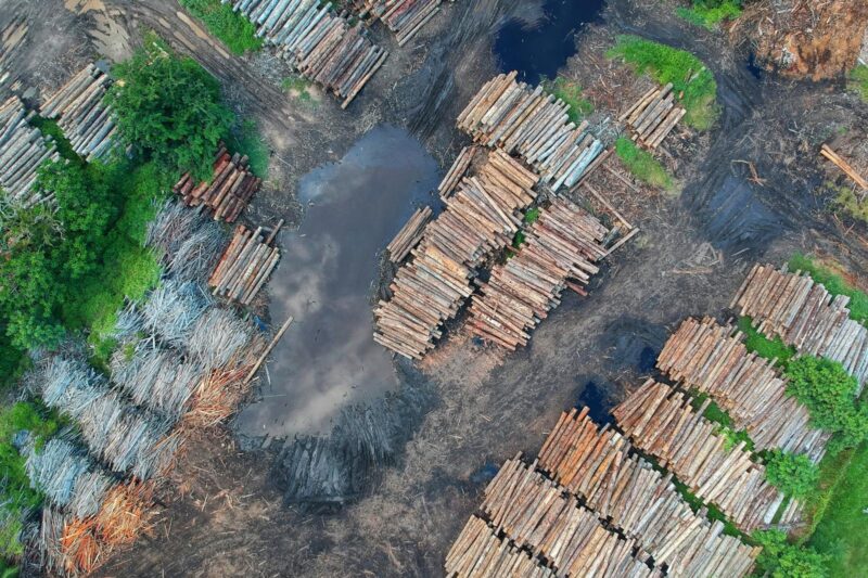 How Deforestation Disrupts Water Cycles: The Atmosphere-Biosphere Connection