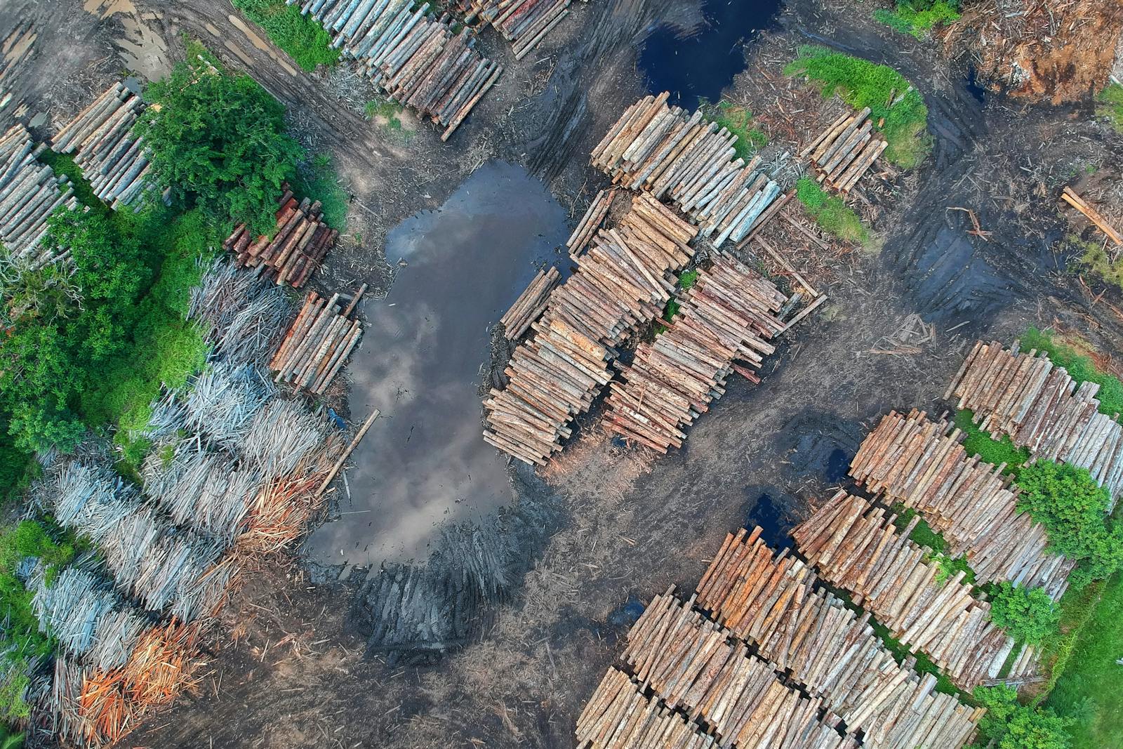 Aerial view of deforested land with felled timber stacks and pooling surface water showing reduced soil infiltration capacity and increased runoff caused by forest clearance