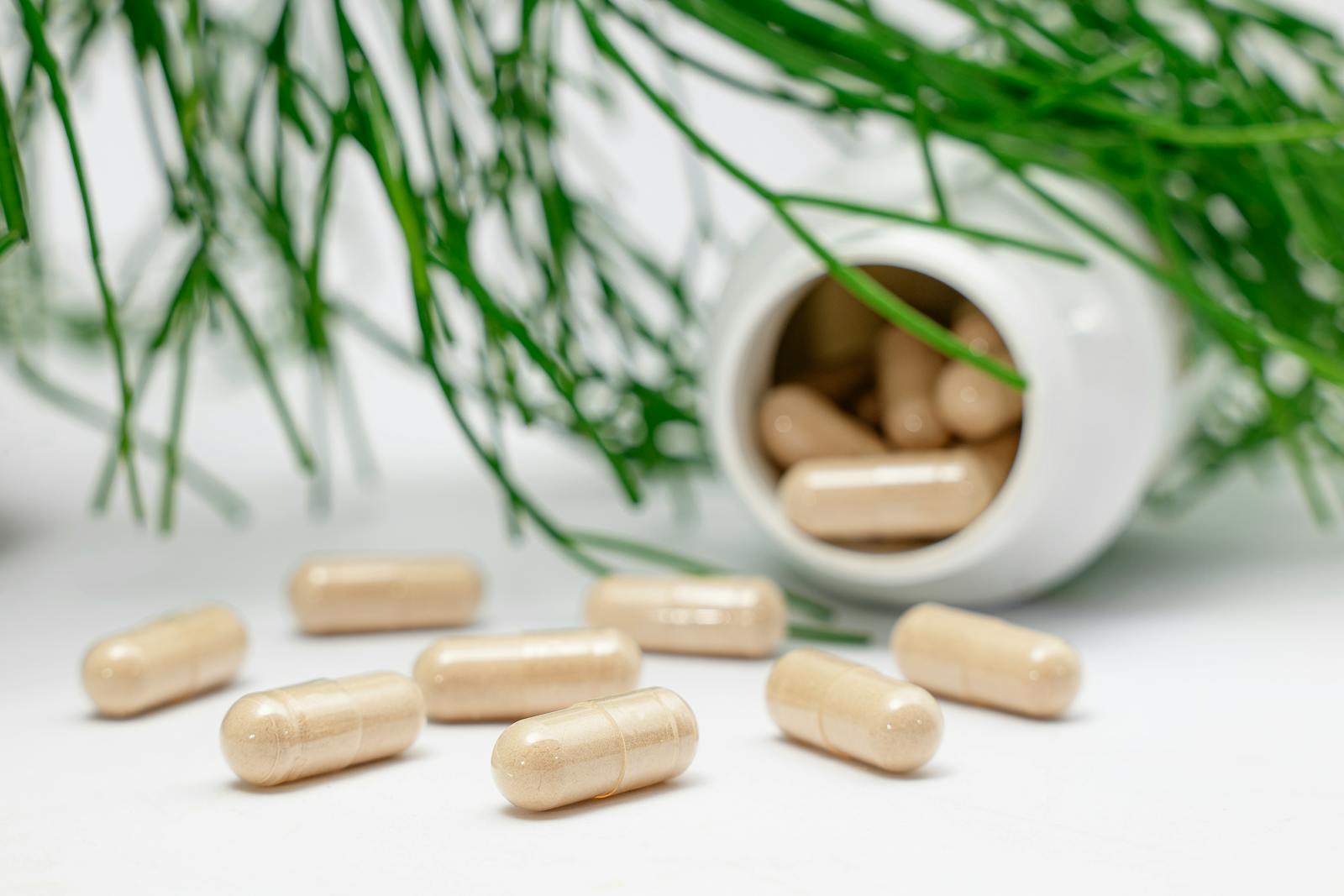 Herbal supplement capsules showing standardised active compound delivery format providing consistent verified dosing for long term adaptogen use where preparation variability of home brewed tea affects compound concentration