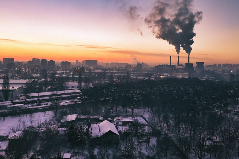 How Ozone Damages Plants: What I Measured in the Field