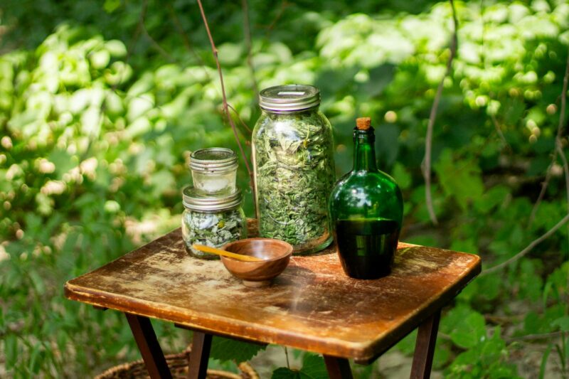 HomeGrown Herbalist School: Why I Would Recommend It as a Plant Scientist.