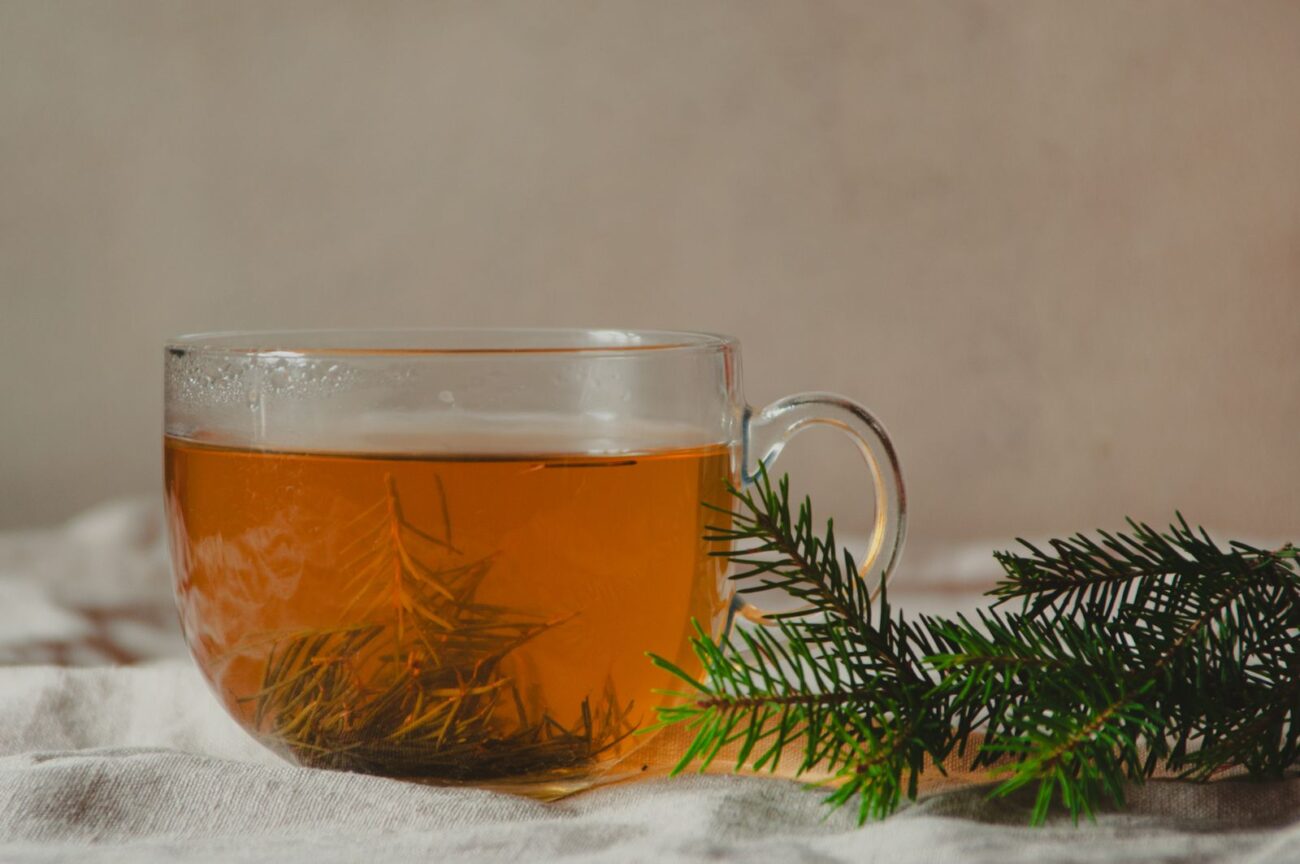 A steaming cup of herbal tea garnished with vibrant pine branches on a soft fabric background.