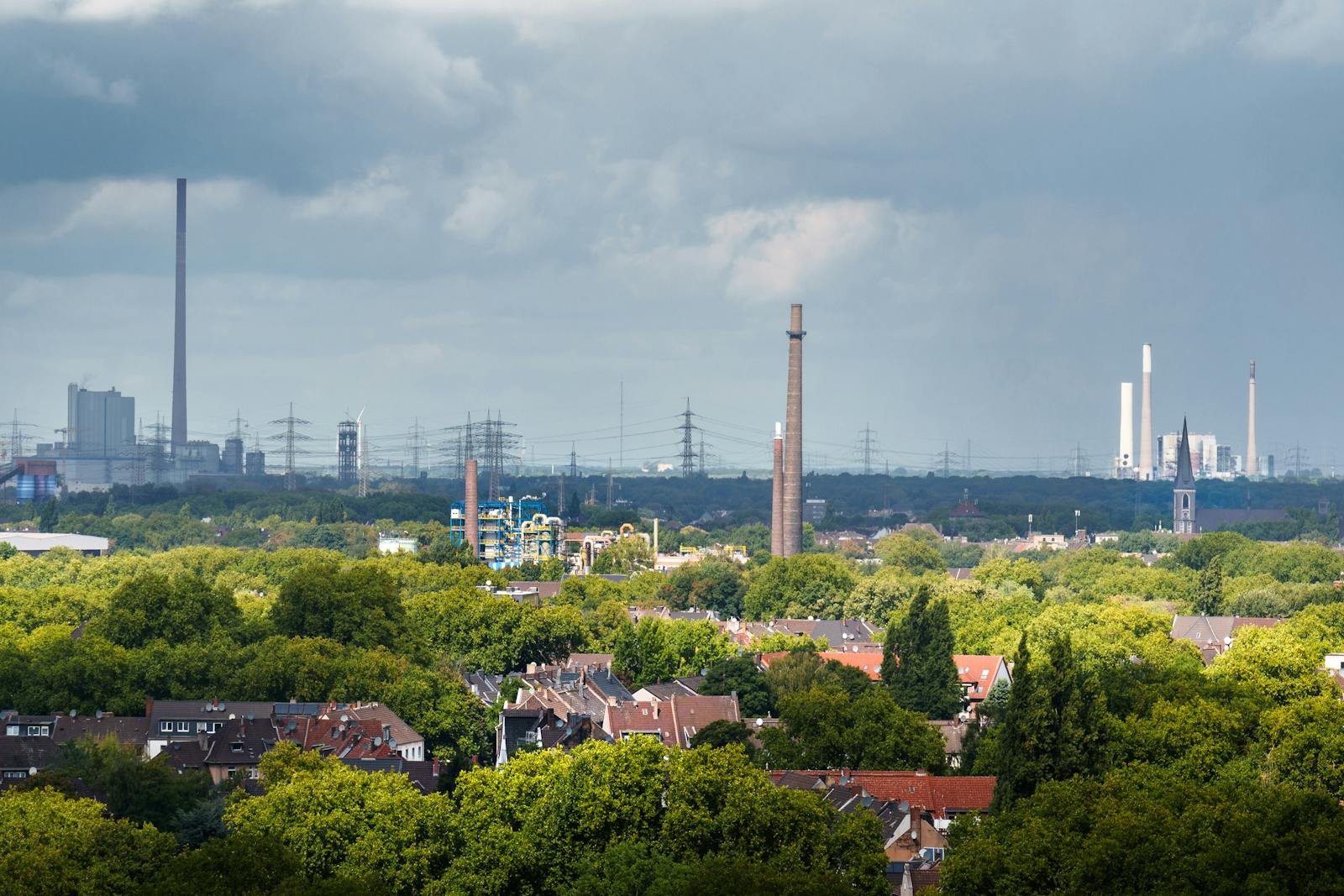Urban tree canopy in residential area with industrial chimneys and factory emissions visible in background showing plants actively dealing with air pollution through antioxidant enzyme systems phenolic compound production and physical leaf surface barriers