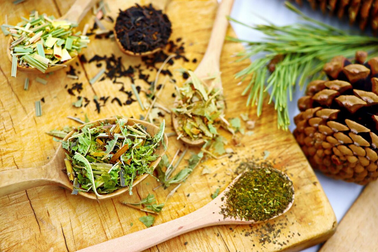 Multiple dried medicinal herbs and botanicals on wooden spoons showing the diverse range of plant secondary metabolites including terpenoids phenolics and alkaloids that evolved as ecological defence chemistry and interact with human biological systems