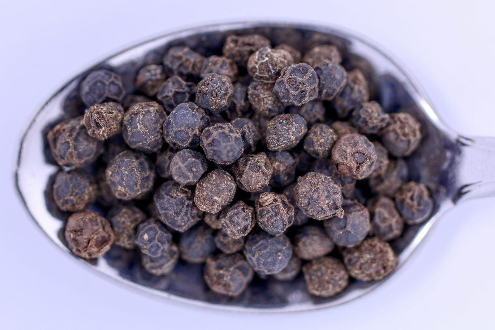 black pepper peppercorns spice" Alt: Piper nigrum black pepper peppercorns containing piperine alkaloid that inhibits CYP3A4 and P-glycoprotein dramatically increasing curcumin bioavailability when combined with turmeric preparations