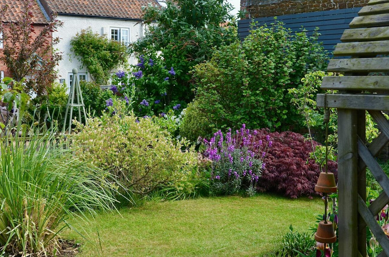 Diverse suburban garden showing layered mixed planting with native flowering species grasses and shrubs providing structural complexity and habitat connectivity for invertebrates and birds in a rewilded garden design