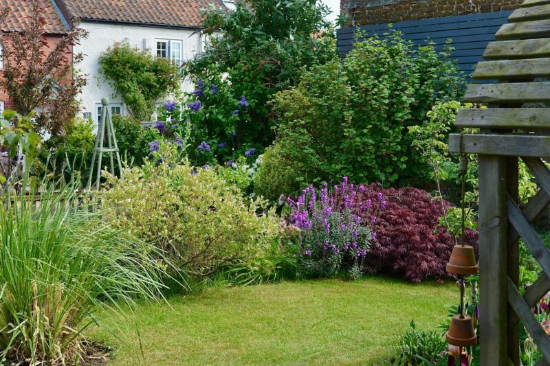 Rewilding Your Garden: The Ecology Behind Why It Works