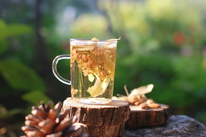 Herbal Remedies for Digestive Health: Constipation, Acid Reflux, and More