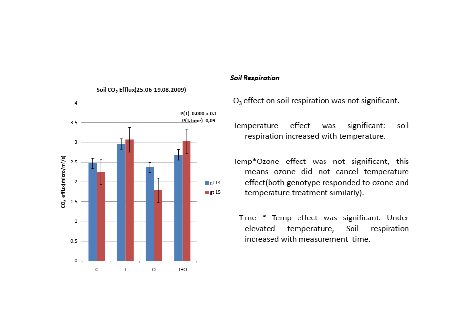 Bar chart of soil CO2 efflux with statistical analysis notes showing significant temperature effect and non-significant ozone effect on soil respiration in silver birch genotypes 2009