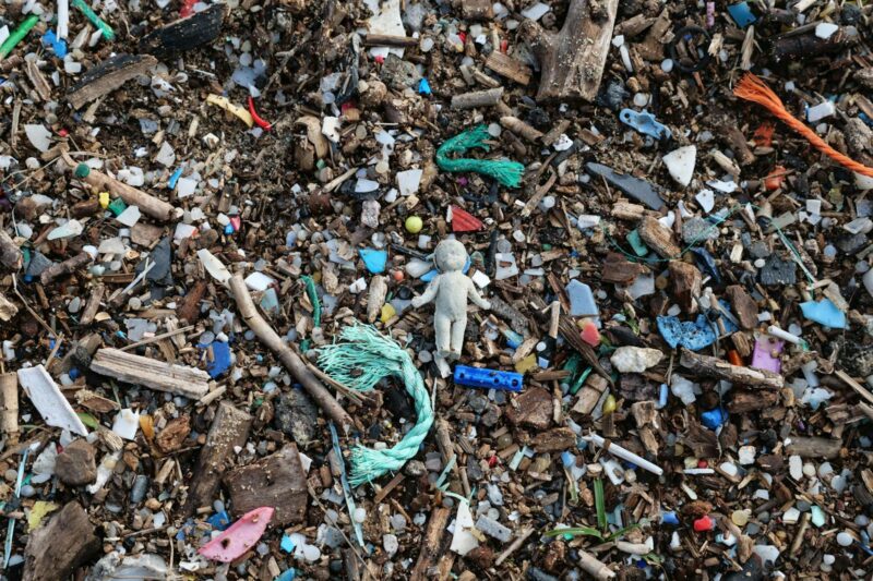 Microplastics in the Human Brain: What the Ecotoxicology Actually Shows