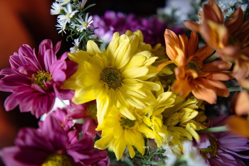 Why Flowers Are Different Colors: A Guide to Petal Pigments.
