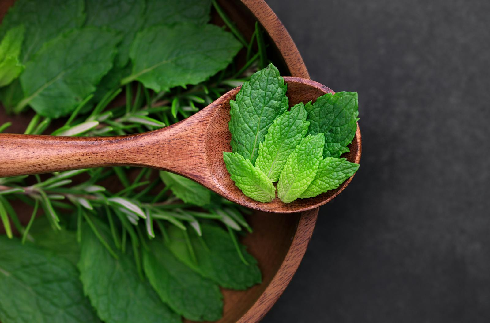 Fresh mint leaves on a wooden spoon with rosemary