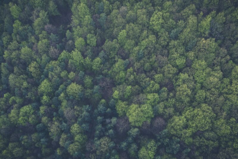 How You Can Contribute to Saving Our Planet, What the Environmental Science Actually Shows.