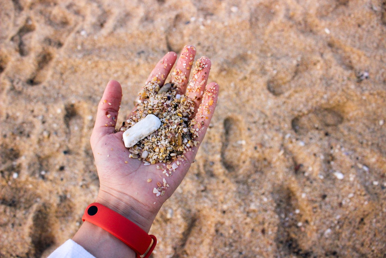 A hand holding beach sand mixed with microplastic fragments showing plastic particles that have degraded to near sand grain size