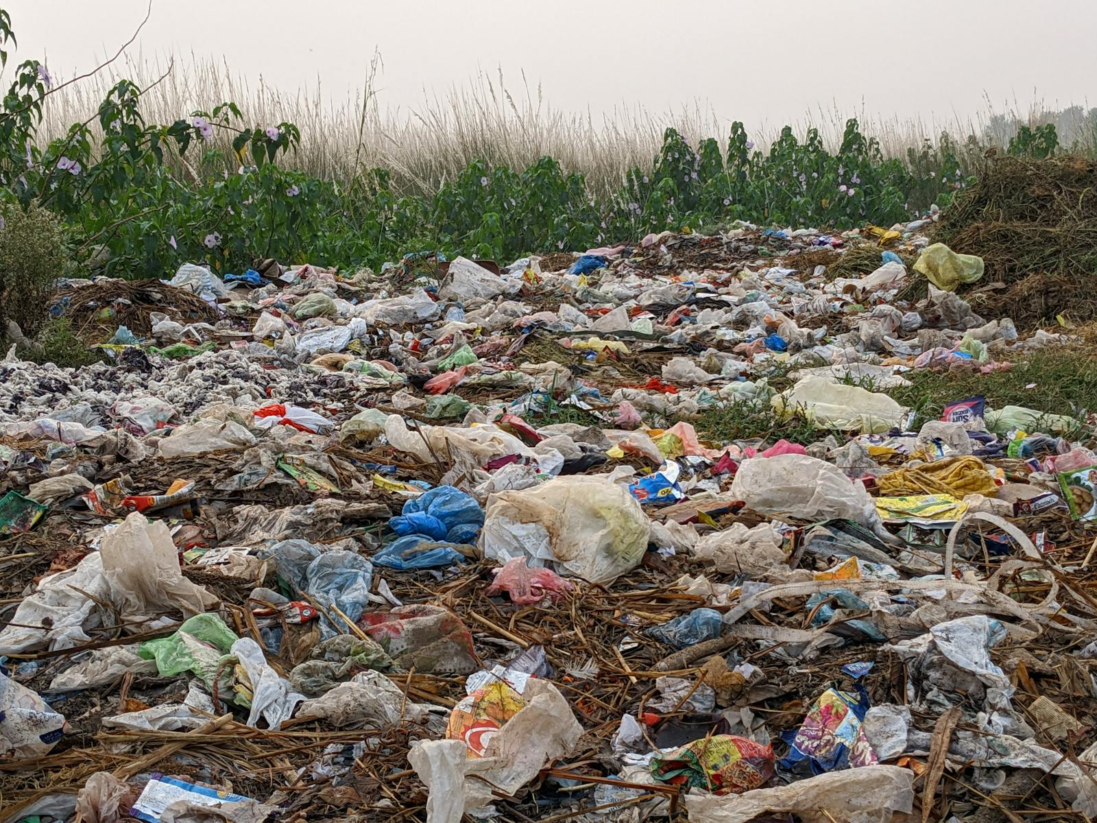 A large open dump site covered in plastic bags and packaging waste showing plastic polymer persistence in the environment