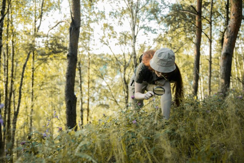 What a Plant Biologist Really Does, From the Field to the Lab.