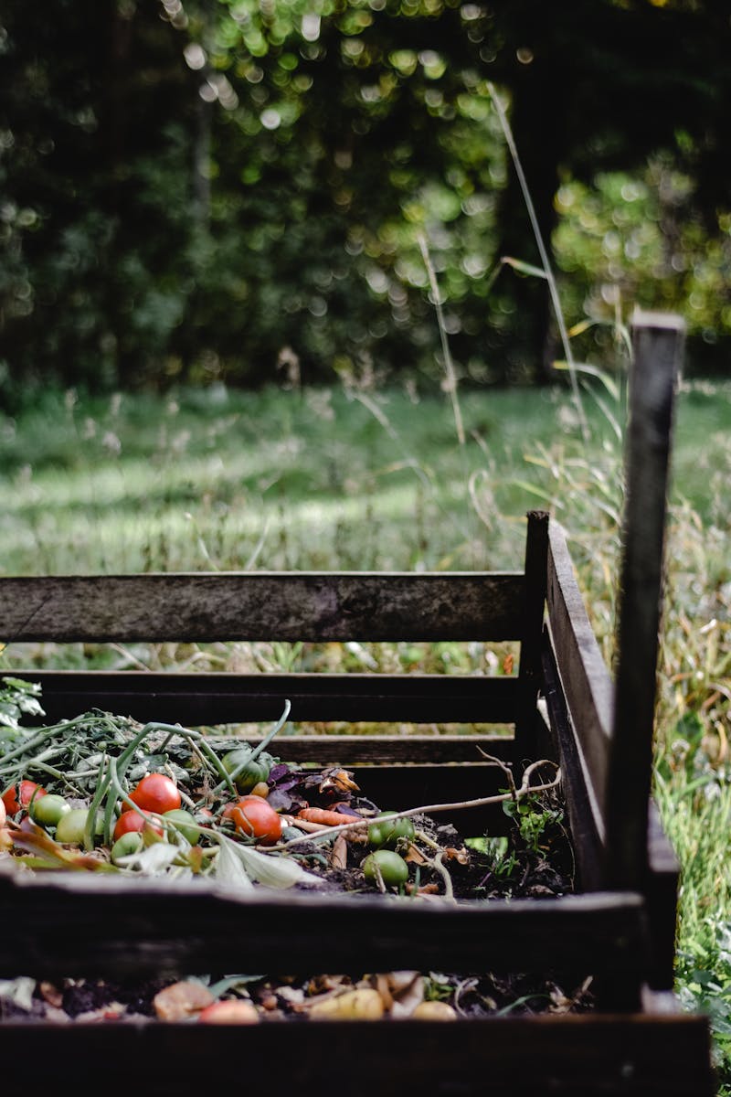 A wooden garden compost bin filled with fresh vegetable scraps showing aerobic food waste decomposition returning carbon to soil