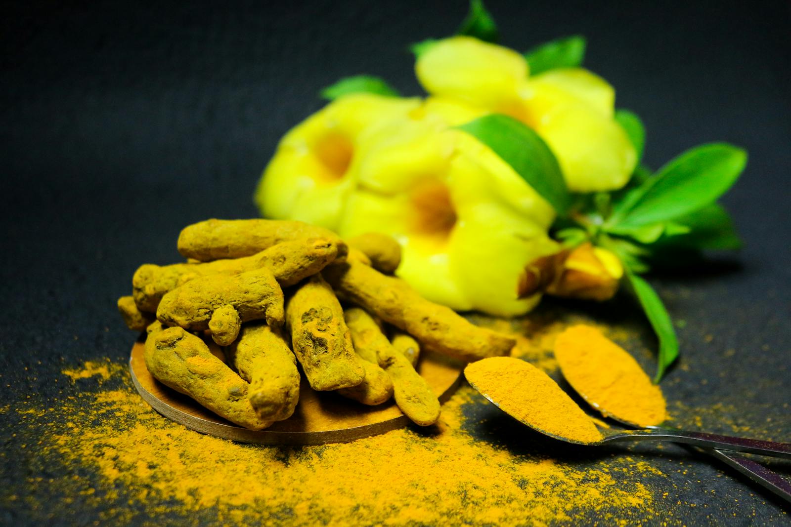 Dried turmeric rhizomes and ground curcumin powder on a dark surface showing the medicinal herb Curcuma longa and its active curcuminoid compounds