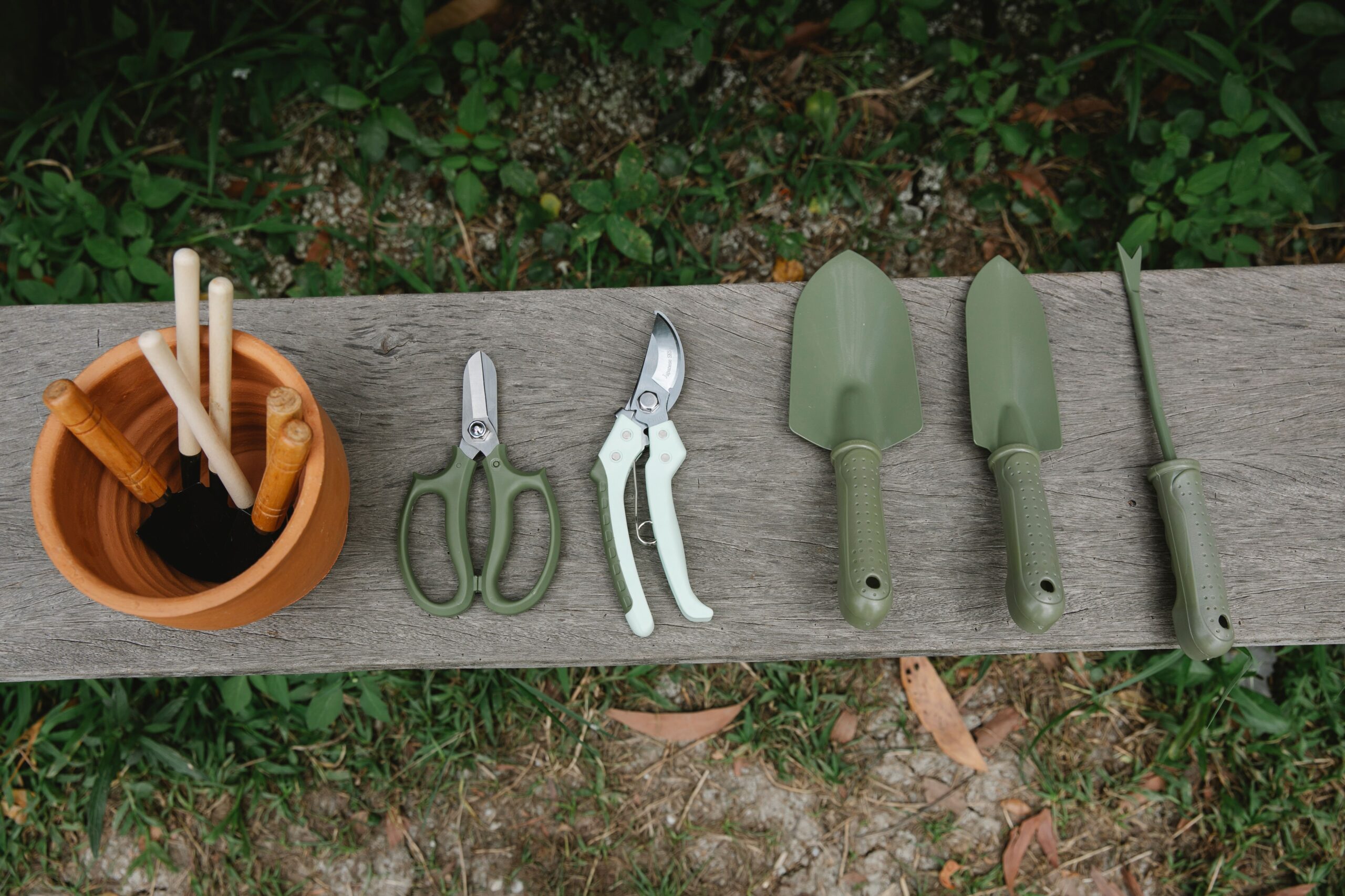 Gardening tools arranged beside healthy productive plants