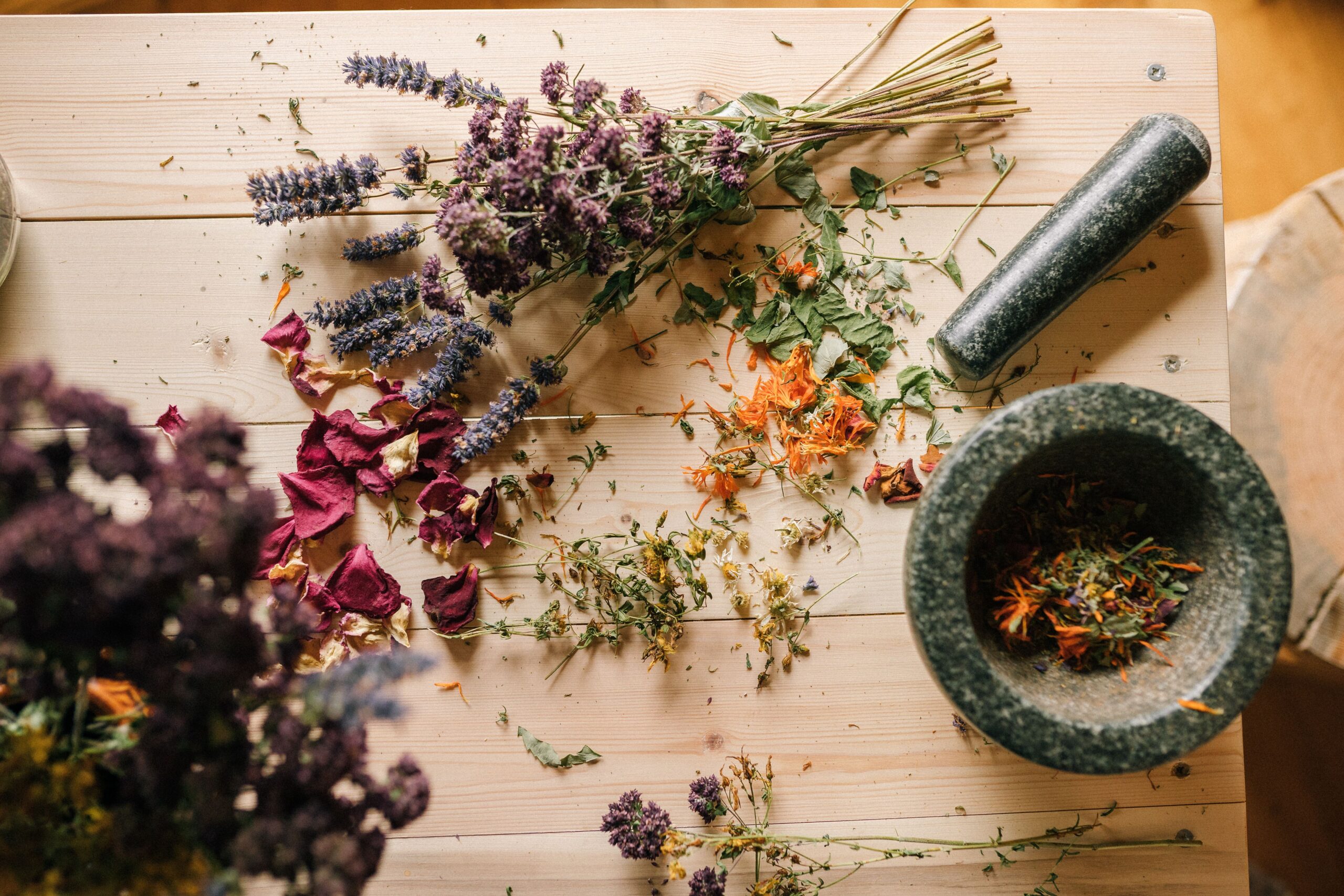Fresh medicinal herbs and mortar with herbal ingredients