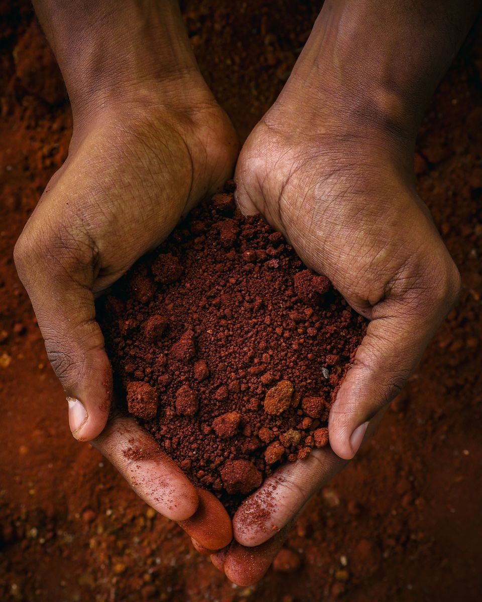 Home soil testing guide cover, hands holding soil