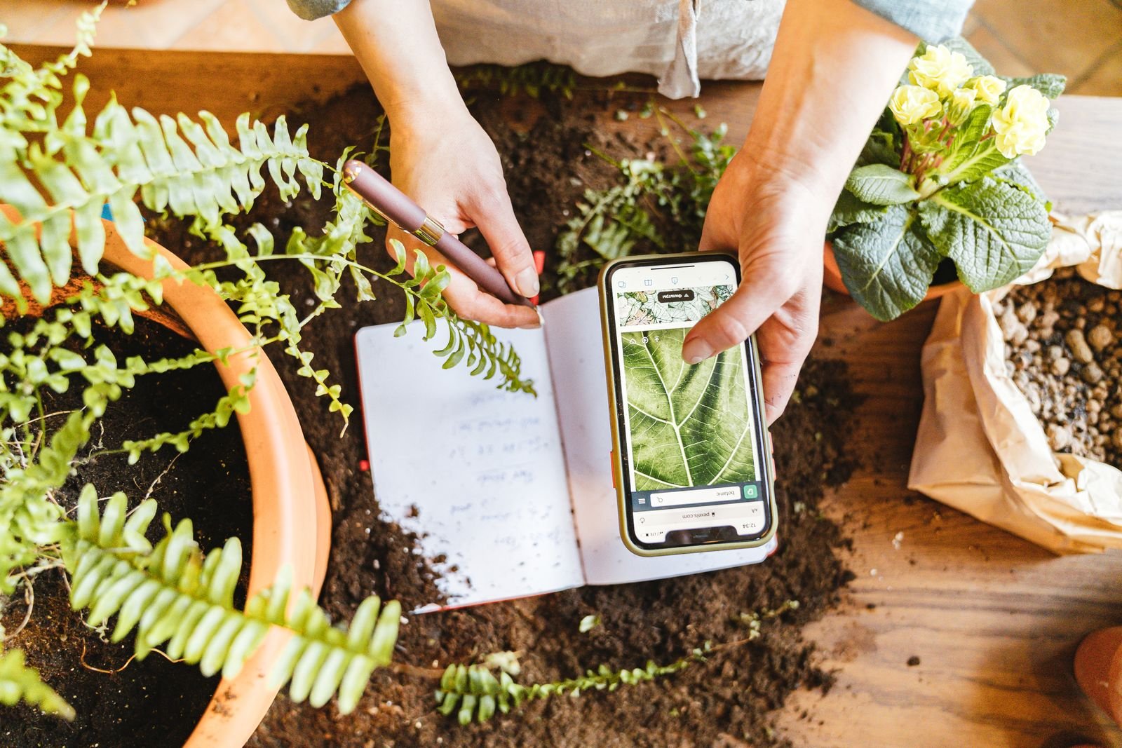 Gardening tools and planning featured header