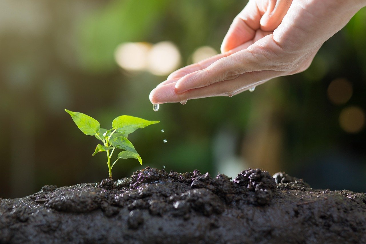 Plant science header
