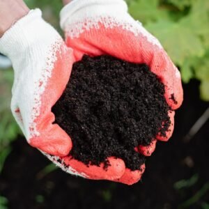 Hands in gardening gloves holding dark, rich soil for testing