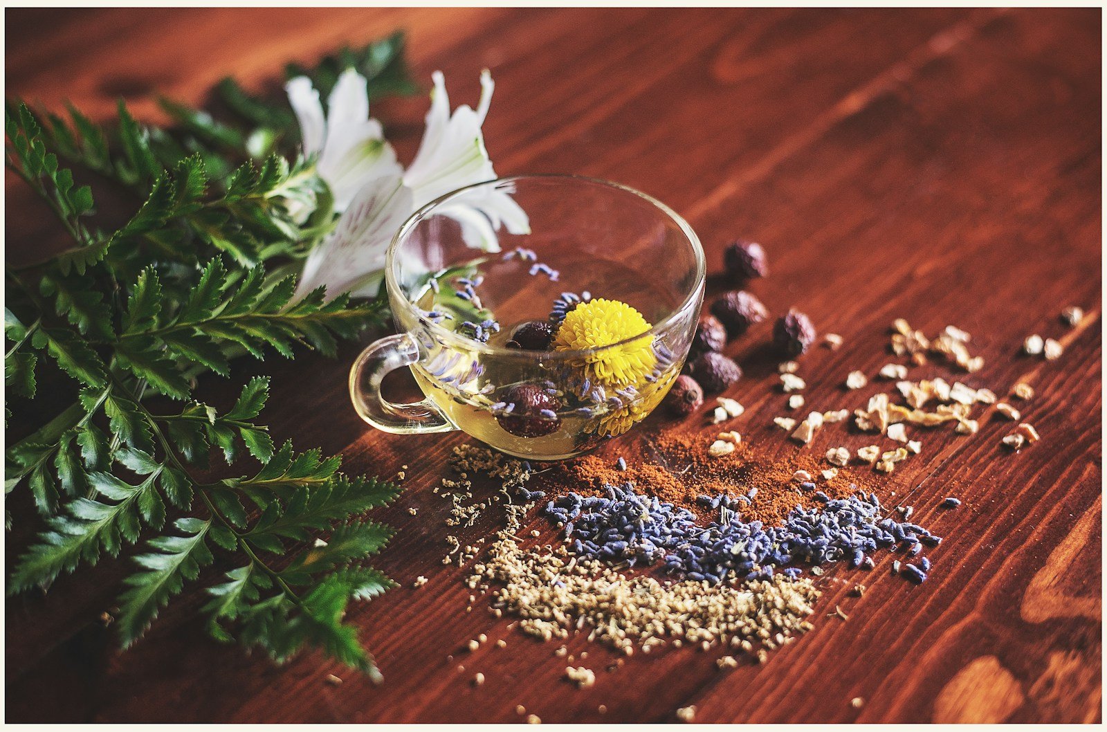 Botanical featured header