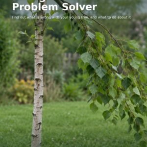Young Tree Problem Solver guide cover with a young birch tree that has a broken top